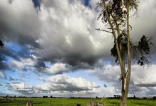 九游娱乐包含赛地聚焦：英超清晨热度飙升，门兴格拉德巴赫强势反弹，引发热议，心理建设被强调的词条